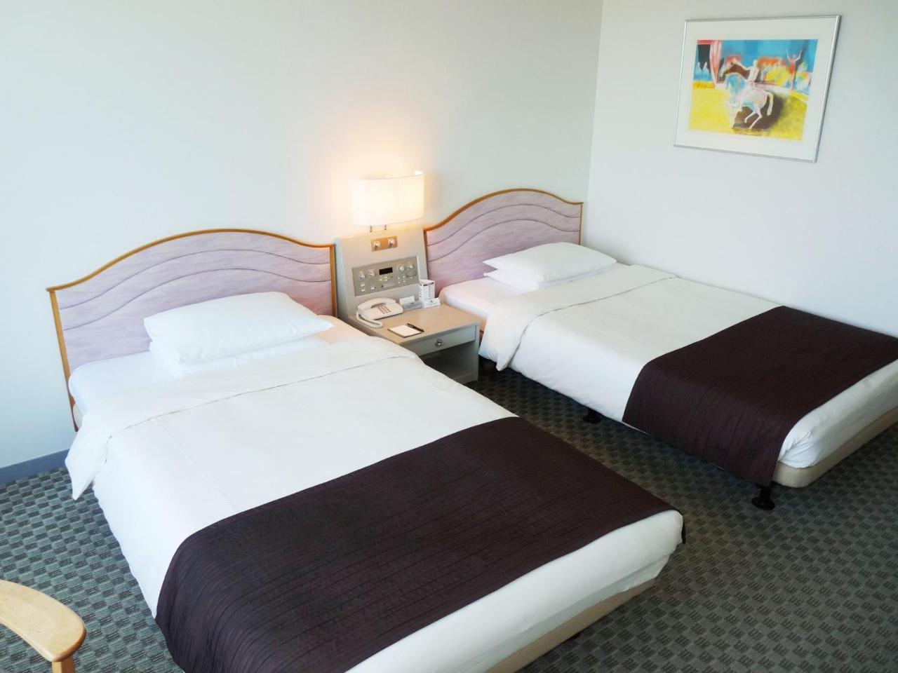 Shin Furano Prince Hotel מראה חיצוני תמונה A room at the hotel