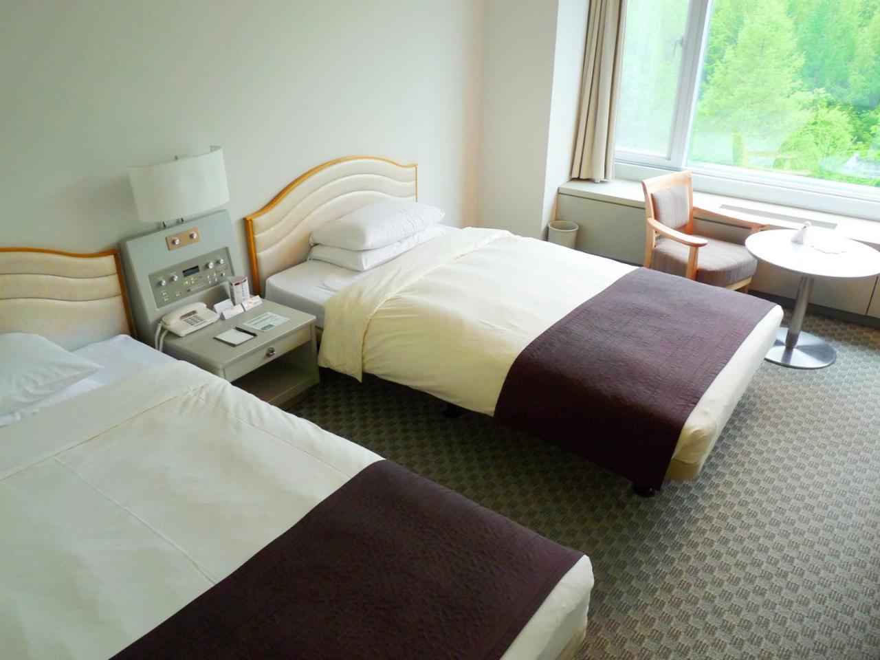 Shin Furano Prince Hotel מראה חיצוני תמונה A room at the hotel